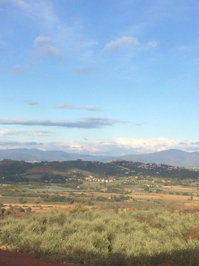 Mansarda Degli Ulivi Daire Rigomagno Dış mekan fotoğraf
