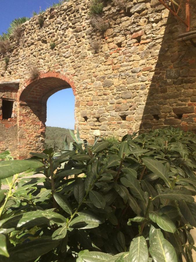 Mansarda Degli Ulivi Daire Rigomagno Dış mekan fotoğraf