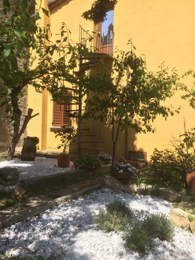 Mansarda Degli Ulivi Daire Rigomagno Dış mekan fotoğraf