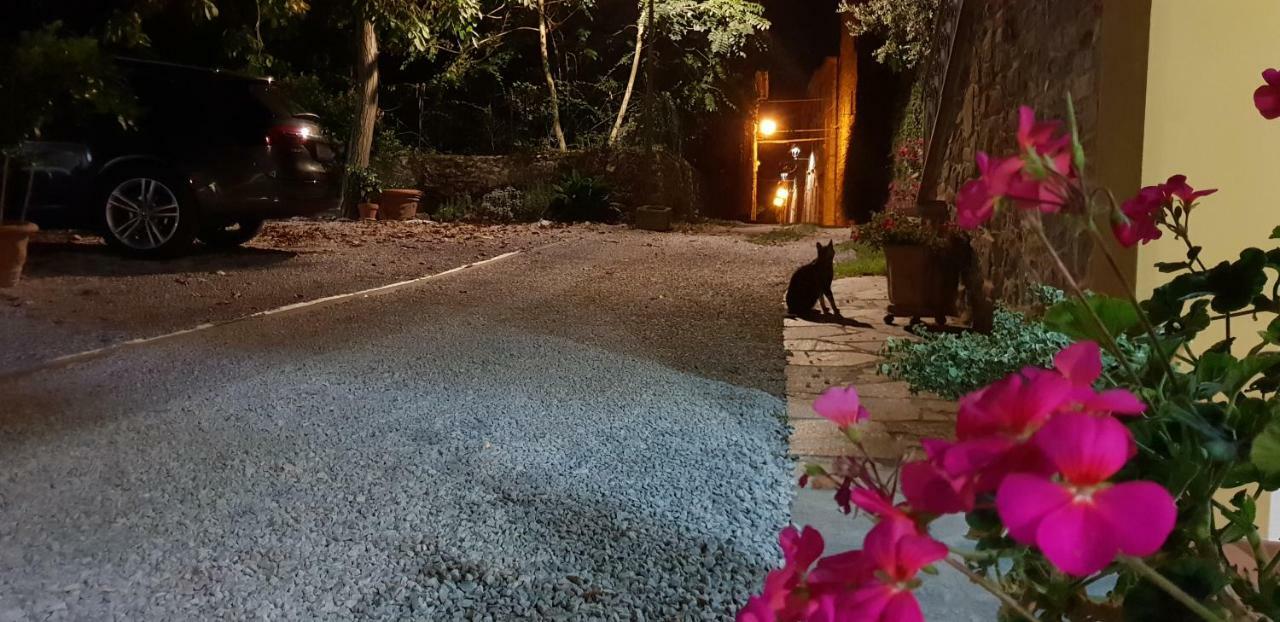 Mansarda Degli Ulivi Daire Rigomagno Dış mekan fotoğraf